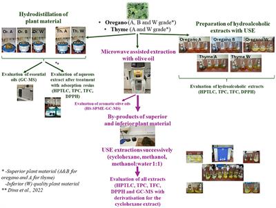 Oregano and thyme by-products of olive oil aromatization process with microwave assisted extraction as a rich source of bio-active constituents